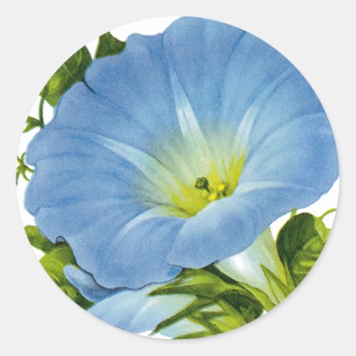 Morning Glory Vintage Seed Packet Classic Round Sticker