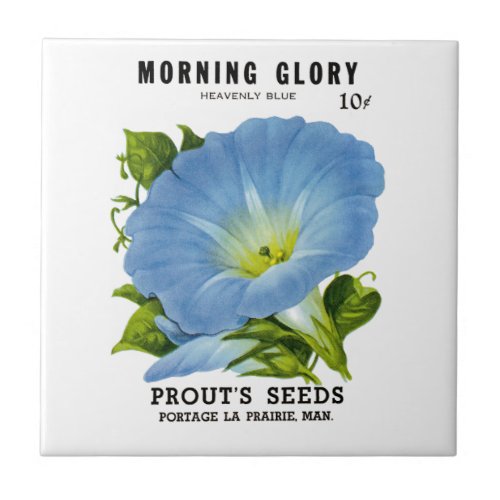 Morning Glory Vintage Seed Packet Tile