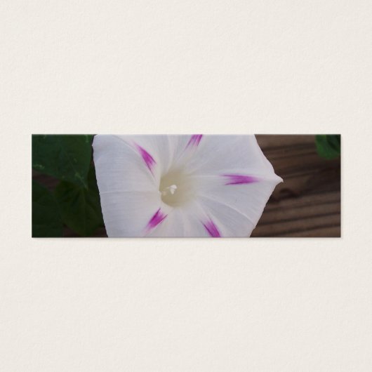 Morning Glory White Bookmark (Front)