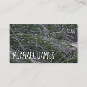 Morning Grass Dewdrops Rain Nature Photography Business Card