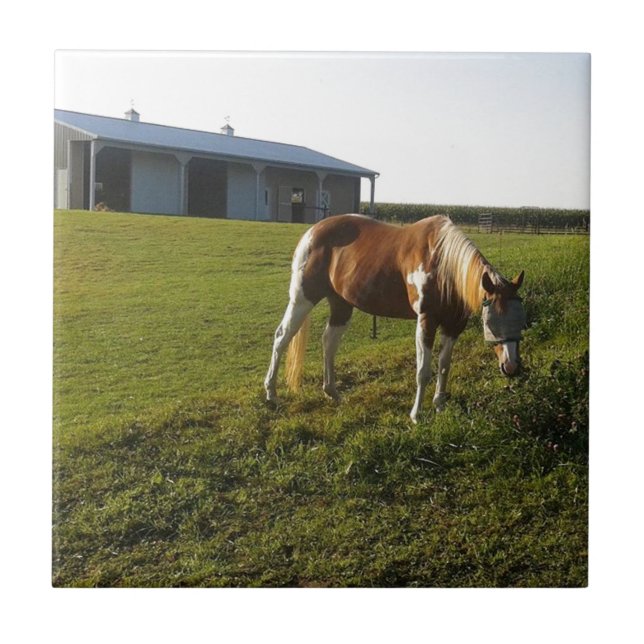 Morning Graze Ceramic Tile (Front)