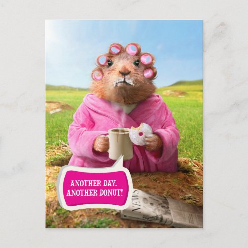 Morning Groundhog with Breakfast Donut and Coffee Postcard