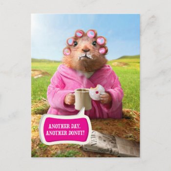 Morning Groundhog With Breakfast Donut And Coffee Postcard by AvantiPress at Zazzle