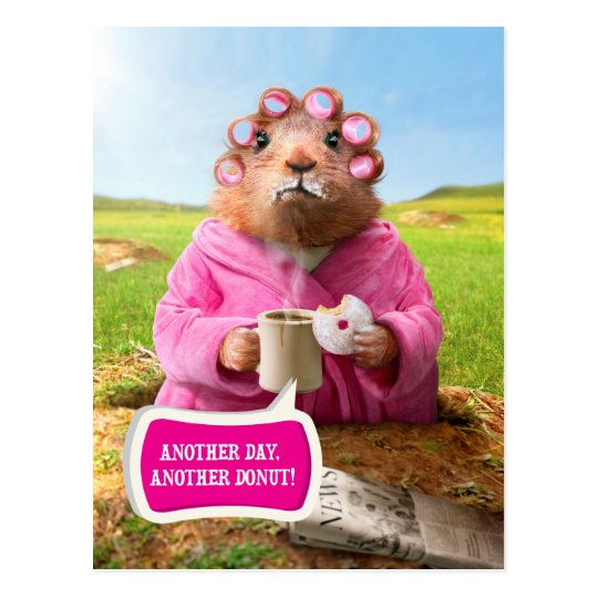 morning_groundhog_with_breakfast_donut_and_coffee_postcard-r187dd9f982ea428c87c40d8215eace9a_vgbaq_8byvr_540.jpg