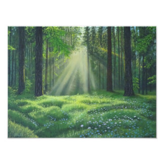 "Morning Has Broken" Photo Print