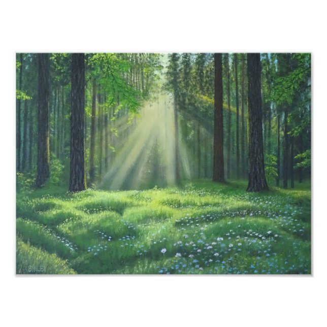 "Morning Has Broken" Photo Print (Front)