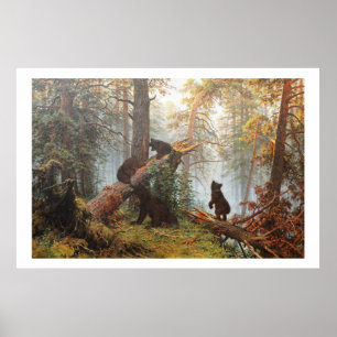 Morning in a pine forest poster
