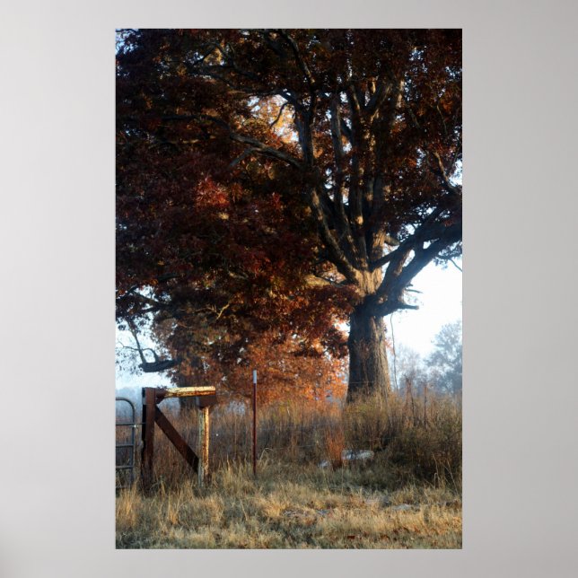 Morning in Tennessee Poster (Front)