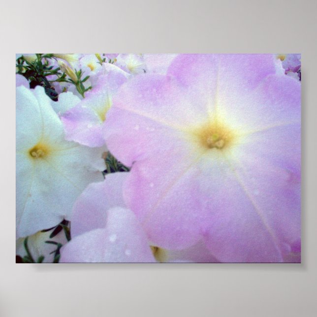 Morning Kisses Poster (Front)