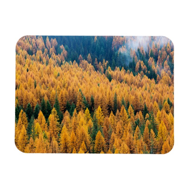 Morning Light at the Beach | Tybee Island Magnet (Horizontal)