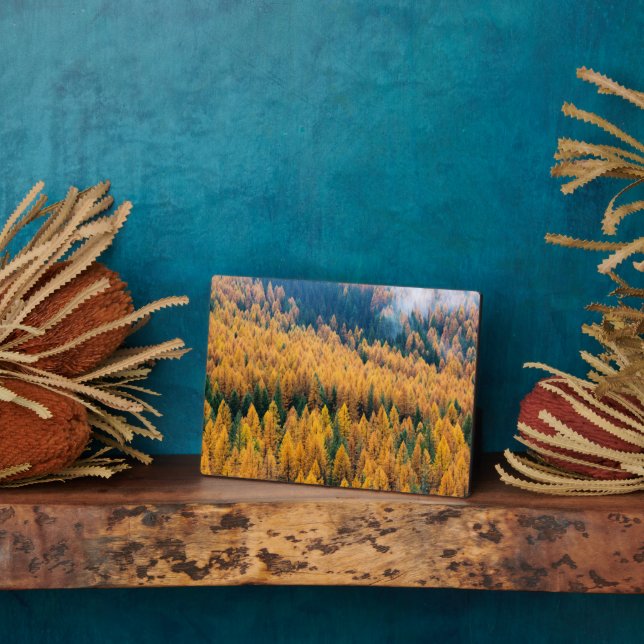 Morning Light at the Beach | Tybee Island Plaque (Side)