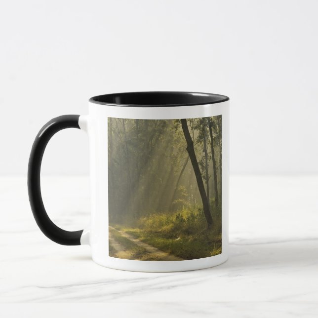 Morning light beams through trees in jungle mug (Left)