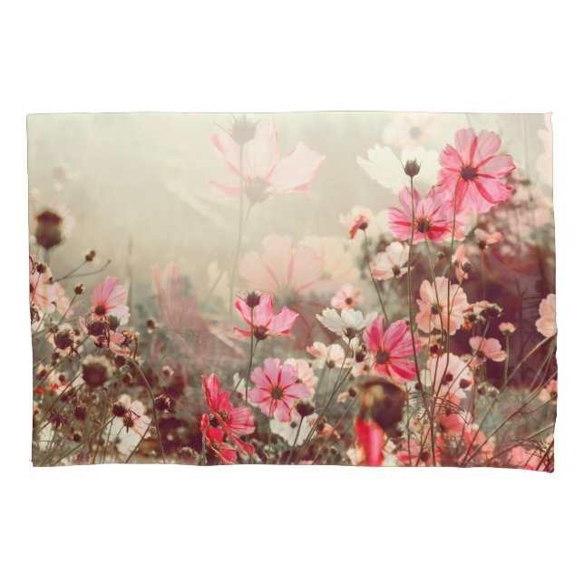 Morning light, blooming pink cosmos. pillow case (Front)