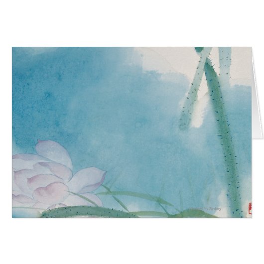 Morning Light Cards (Front Horizontal)