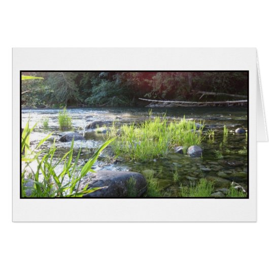 Morning Light on the Cowichan River Cards (Front Horizontal)