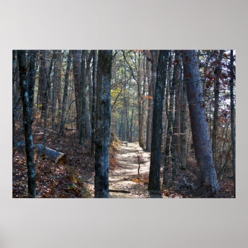 Morning Light on the Winter Trail Poster