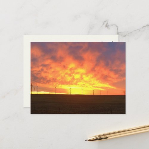 Morning Light Postcard