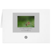 Morning Love - small butterflies (Back Horizontal)