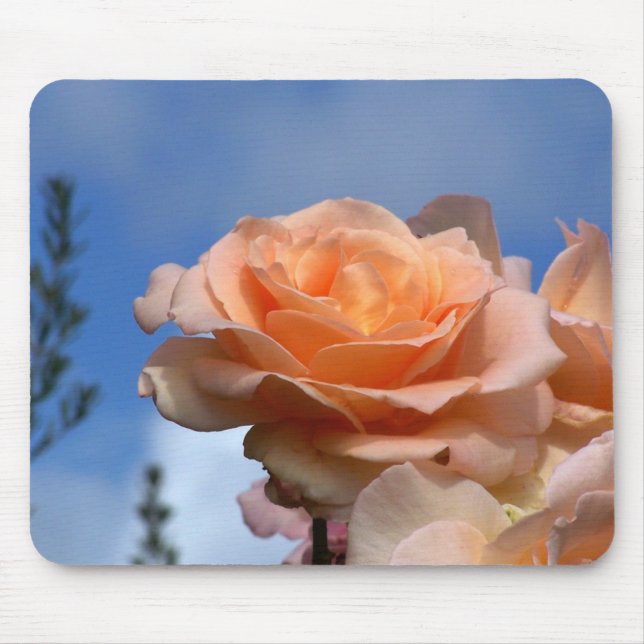 Morning Majesty Mouse Pad (Front)