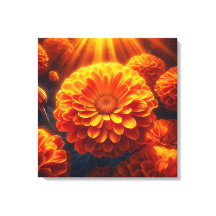 Morning Marigolds: Orange Blooms of Wonder
