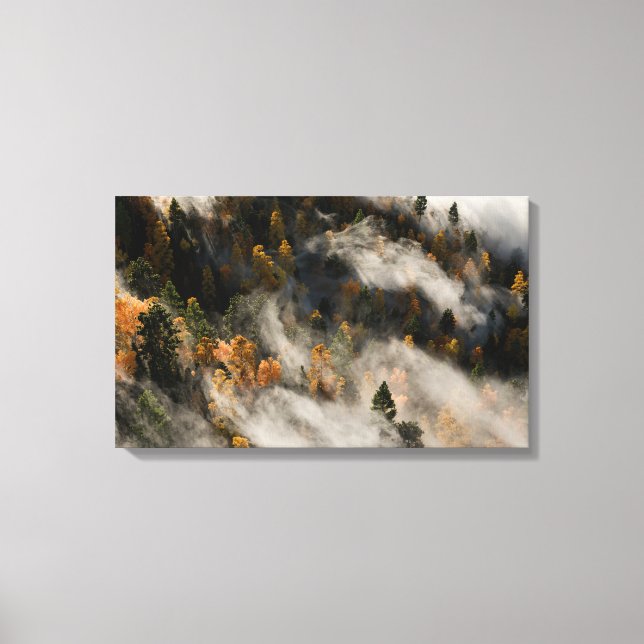 Morning Mist Canvas Print (Front)