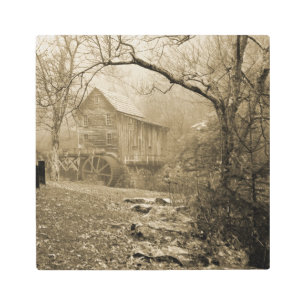 Morning Mist Metal Print