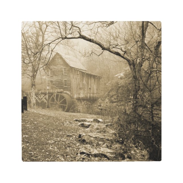 Morning Mist Metal Print (Front)