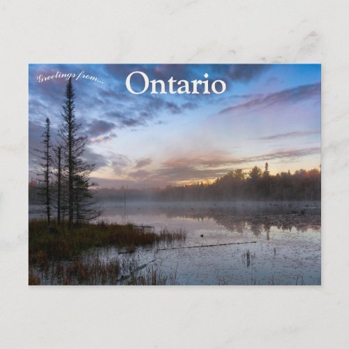 Morning Mist on Beaver Pond in Northern Ontario Postcard