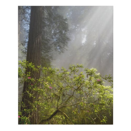 Morning Mist on Rhododendron Faux Canvas Print