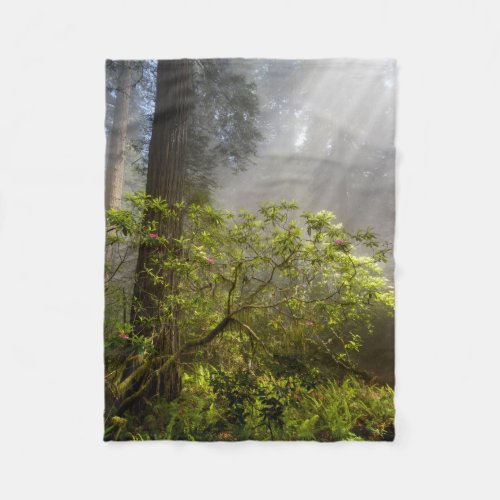 Morning Mist on Rhododendron Fleece Blanket