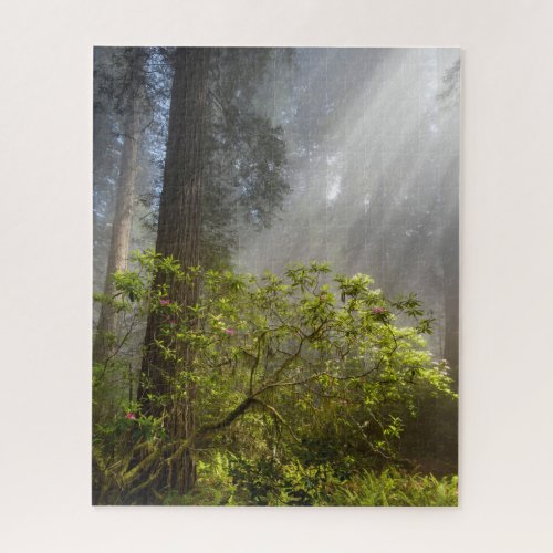 Morning Mist on Rhododendron Jigsaw Puzzle
