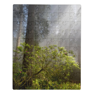 Morning Mist on Rhododendron Jigsaw Puzzle