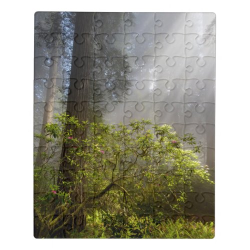 Morning Mist on Rhododendron Jigsaw Puzzle