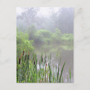 Morning Mist on the Pond Postcard