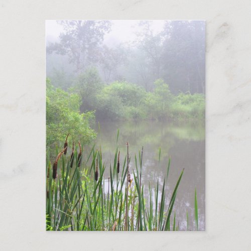 Morning Mist on the Pond Postcard