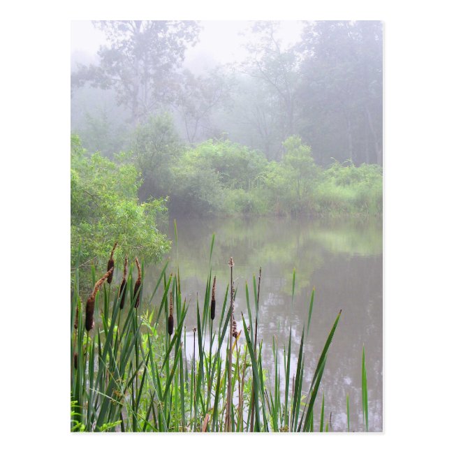 Morning Mist on the Pond