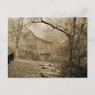 Morning Mist Postcard