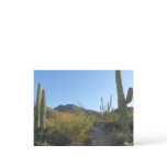 Morning on King Canyon Trail Postcard