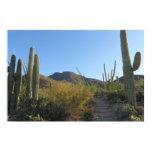 Morning on King Canyon Trail Poster