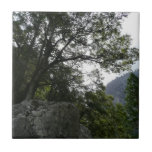 Morning on the Trail to Vernal Falls in Yosemite Ceramic Tile
