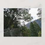 Morning on the Trail to Vernal Falls in Yosemite Postcard