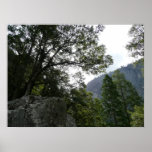 Morning on the Trail to Vernal Falls in Yosemite Poster