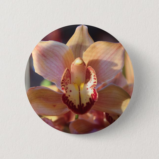 Morning Orchid Button (Front)