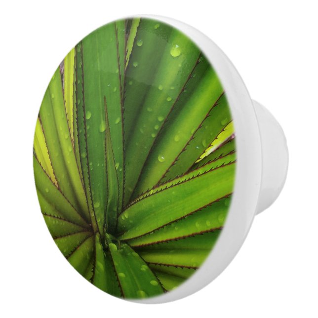 Morning Rain on the Screw Pine Ceramic Knob (Right)