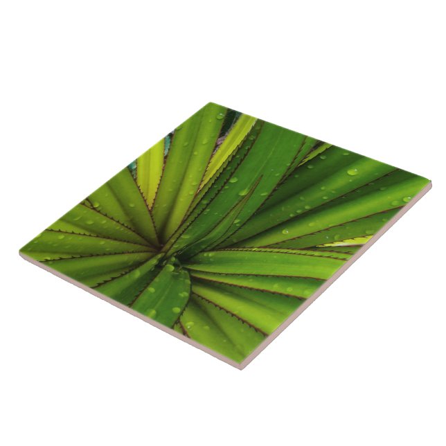 Morning Rain on the Screw Pine Ceramic Tile (Side)