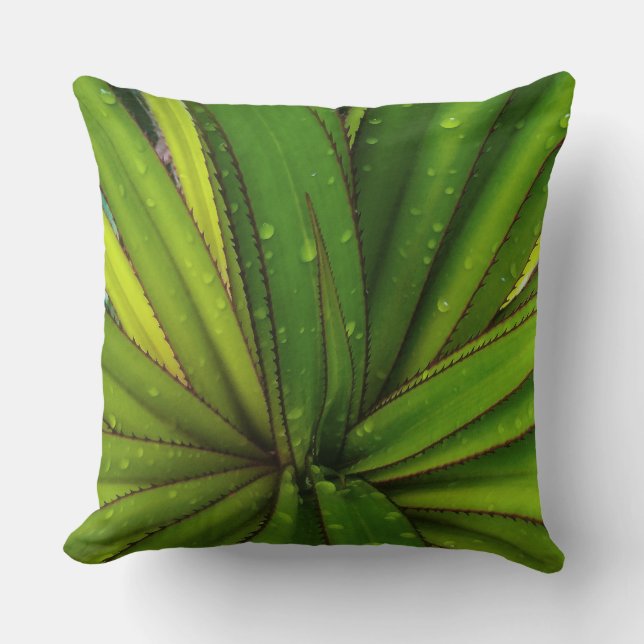 Morning Rain on the Screw Pine Throw Pillow (Front)