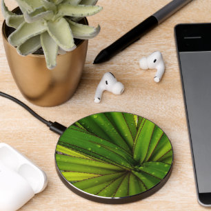 Morning Rain on the Screw Pine Wireless Charger