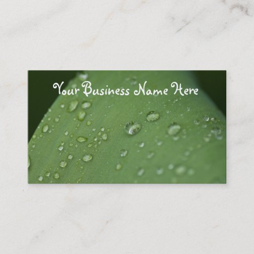 Customizable Morning Rain; Promotional Business Card