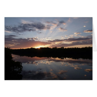 Morning Rays Cards