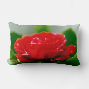 Morning red Rose covered with dew drops Lumbar Pillow
